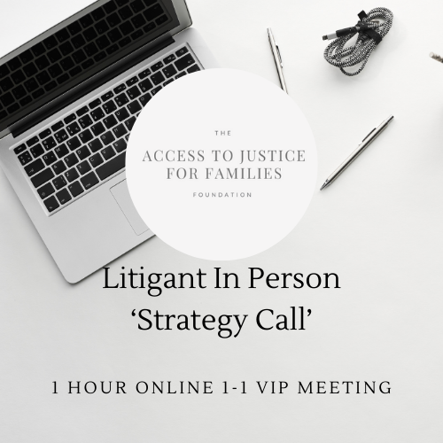 Litigant In Person Case Review Strategy Call